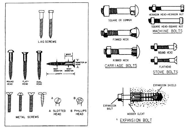 wood screw 2